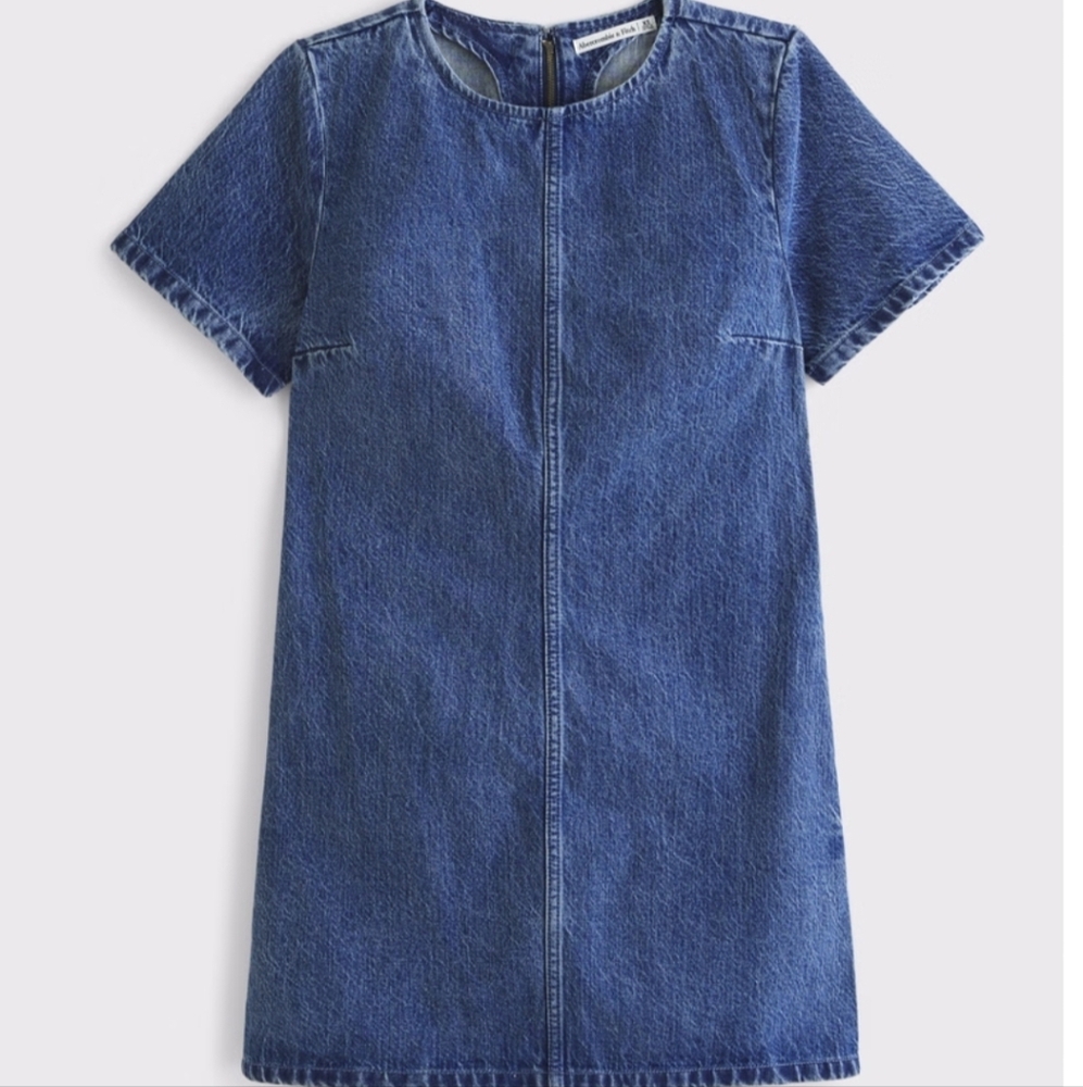 Abercrombie & Fitch Denim Shift Mini Dress